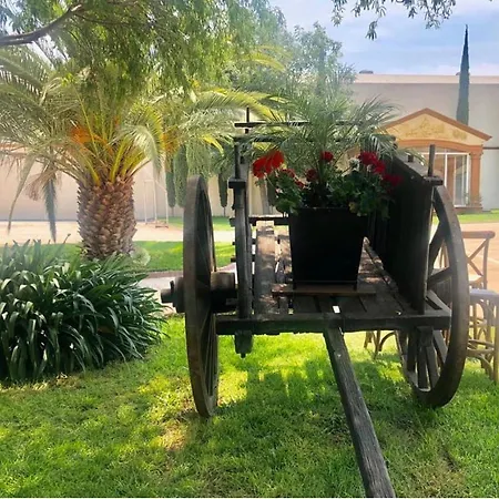 Hotel la Finca-2