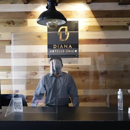 Hotel Diana-2