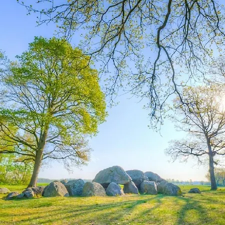 B&B Drenthe-3
