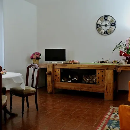 B&B Lori-2