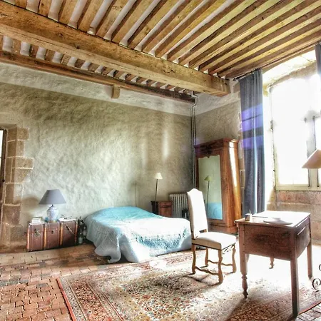Chateau De Bourgon-2