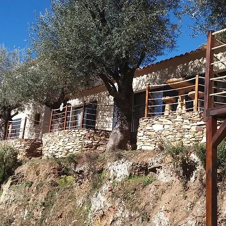 L'oliveraie du Fango-2