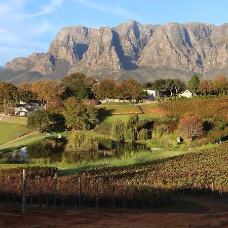 Alluvia Boutique Winery & Luxury Accommodation-3