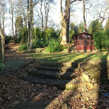 Thornybank-2