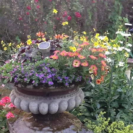 Swan Cottage-3