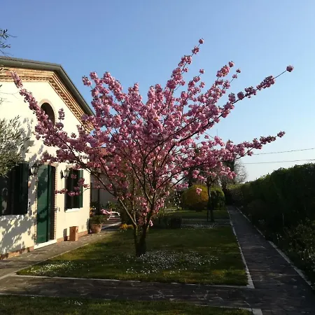 Casa Pianta-2