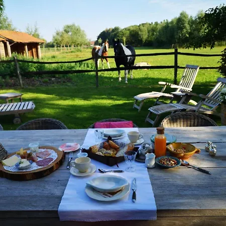 Casa Leone Near Bruges With Jacuzzi & Parking-3