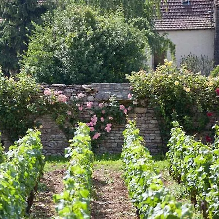 Domaine VIOLOT-GUILLEMARD-2