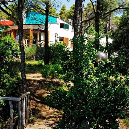 B&B Al Cavalluccio Marino-2