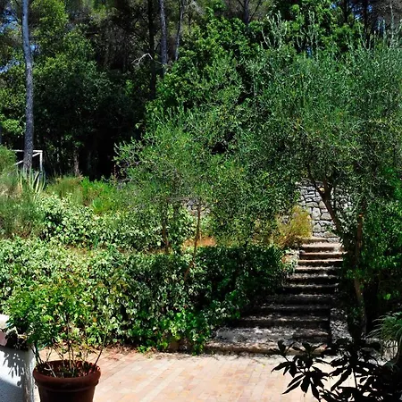 B&B Al Cavalluccio Marino-3