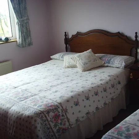 Springfield House B&B-2