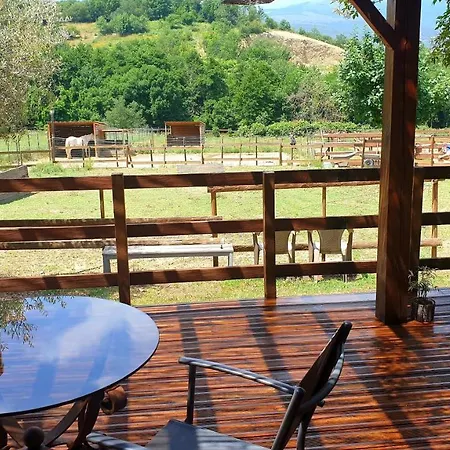 Chambre d'hôtes le petit Ranch-3