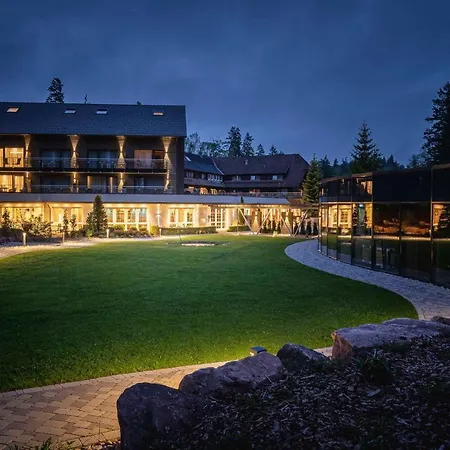 Hotel Restaurant Waldsägmühle-2
