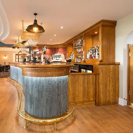 Gwesty Gadlys Hotel-2
