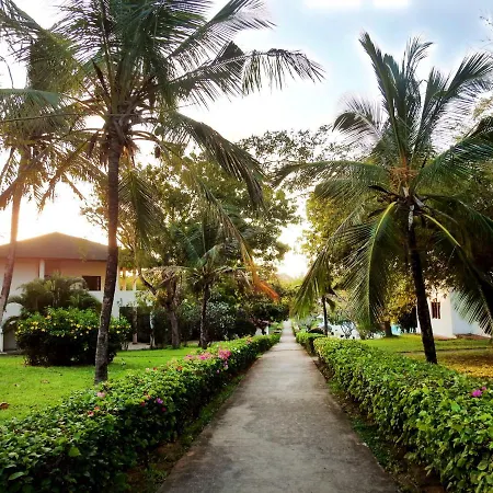 Gecko Resort-3
