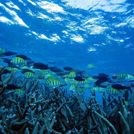 Mackerel Islands-2