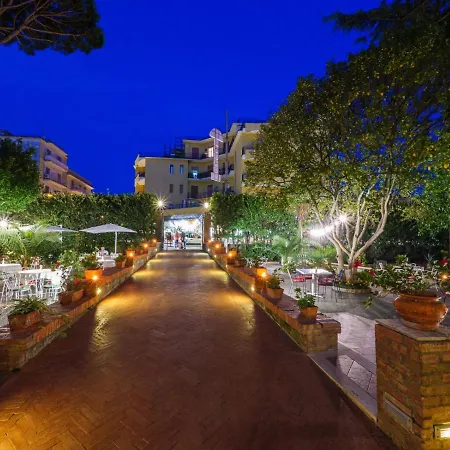 Hotel Delle Palme-2