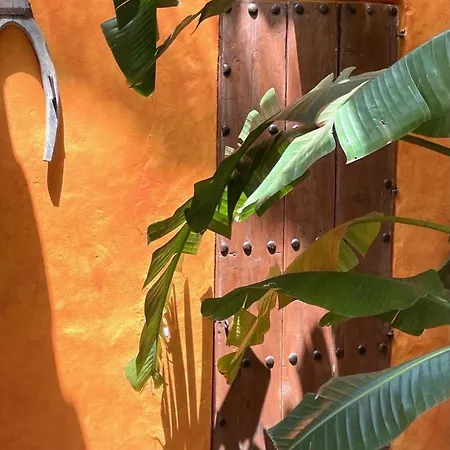 La Dulcinea-2
