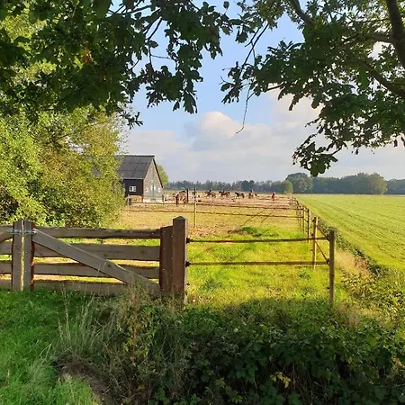 B&B de Berghoeve-3