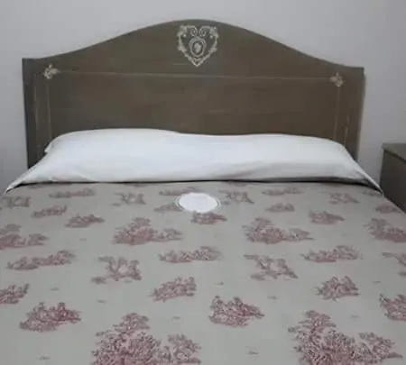 Butterfly B&B-3