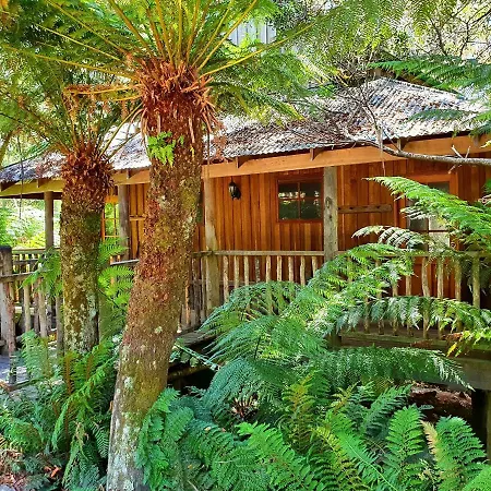 Lemonthyme Wilderness Retreat-2