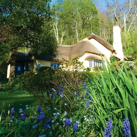 Southcliffe B&B-2