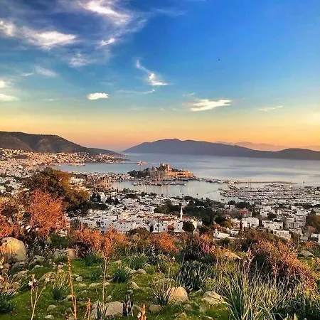 Merve Apartments, Your Home From Home In Central Bodrum, Street Cats Frequent The Property, Not All Apartments Have Balconies , Ground Floor Have Terrace With Table And Chairs-3