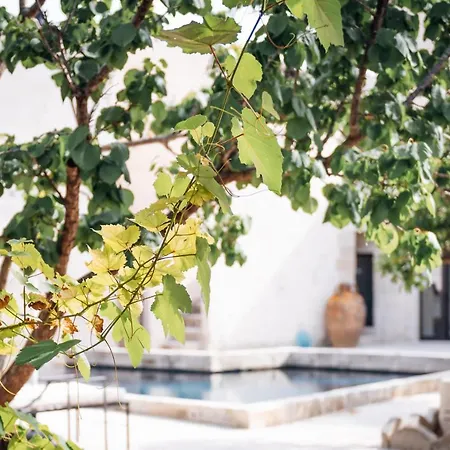 Tenuta Tresca Suites - Dimora Storica-3