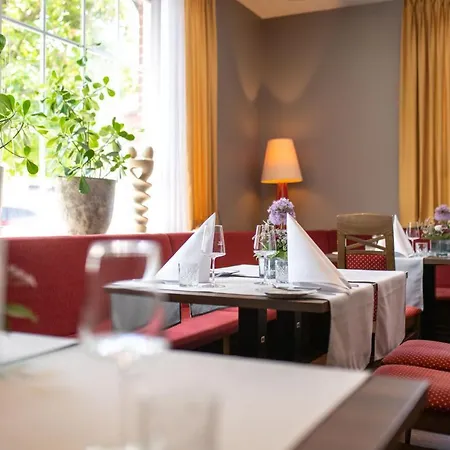 Hotel Rheinischer Hof-2