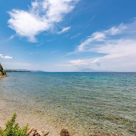 Ionian Aura-2