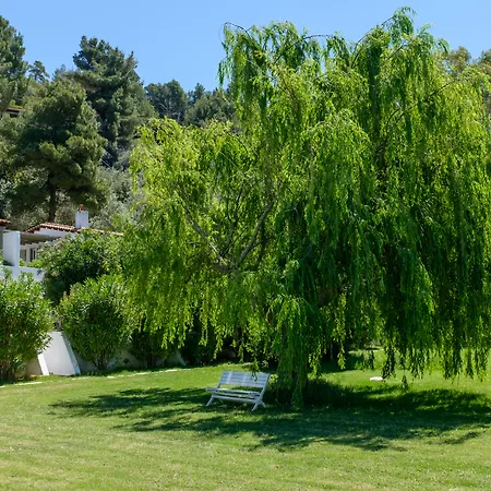 Skiathos Holidays Suites & Villas-2
