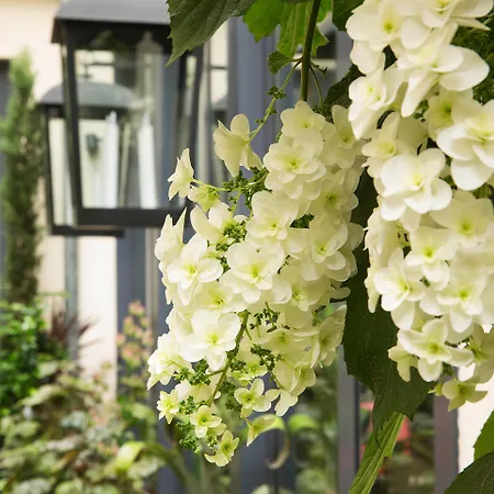 Hotel Villa Madame - Saint-Germain-Des-Pres-2