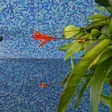 Aya Boutique Hotel Pattaya - Sha Plus-3