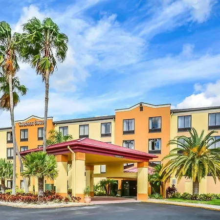Comfort Suites Tampa - Brandon-3