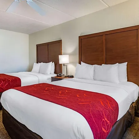 Comfort Inn Kissimmee-Lake Buena Vista South-3