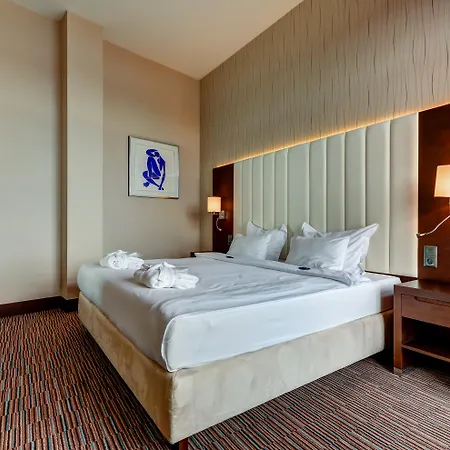 Copernicus Torun Hotel-3