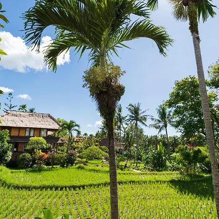 Alpin Resort And Villa Ubud-2