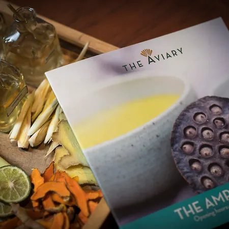 The Aviary Hotel-2