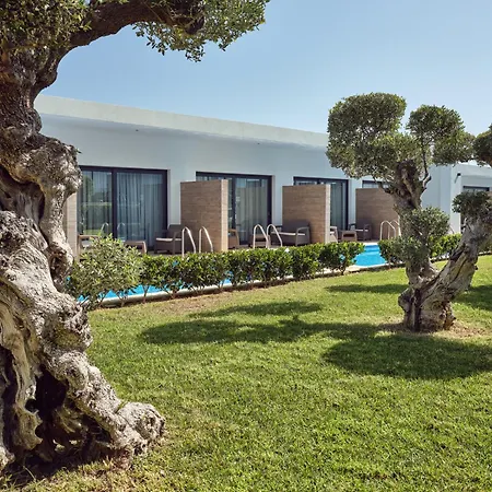 Cavo Orient Beach Hotel & Suites-3
