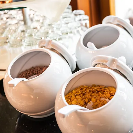 Gaia Hotel Basel - The Sustainable 4 Star Hotel-3