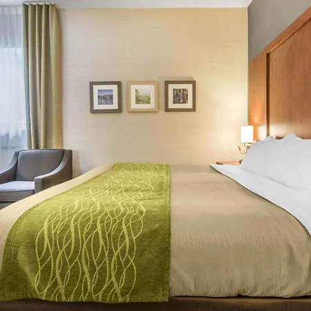 Comfort Inn & Suites-3