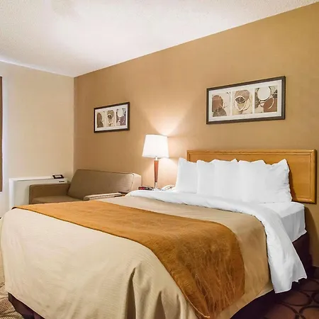 Comfort Inn-3
