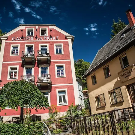 Hotel Zur Mühle-3