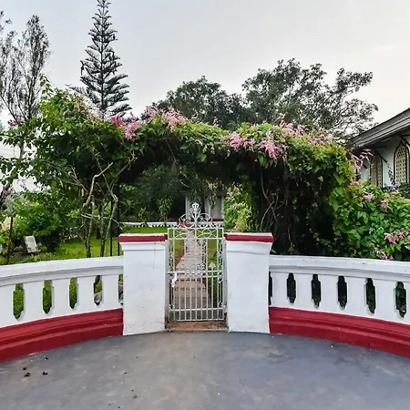 The Figueiredo House-2