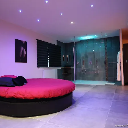 Ds Plaisir Love Room avec sauna, jacuzzi à Nancy-2