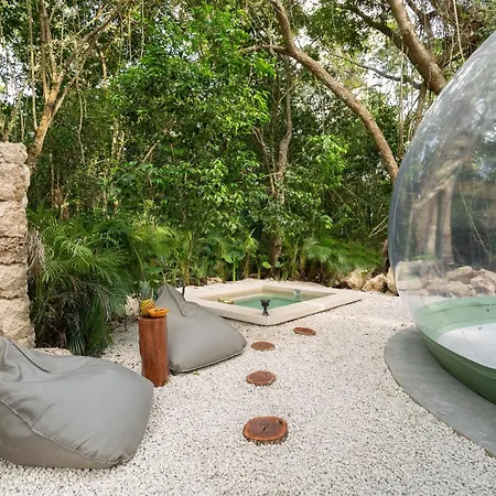 Oom Bubble Boutique Riviera Cancun - Adults Only-3