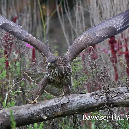 Bawdsey Hall-3