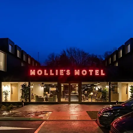 Mollie'S Oxford-3