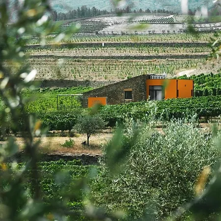 Quinta Do Monte Travesso - Country Houses & Winery-2