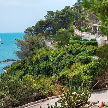 Gattarella Family Resort Puglia - Self Catering Accommodations In The Pinewood-2